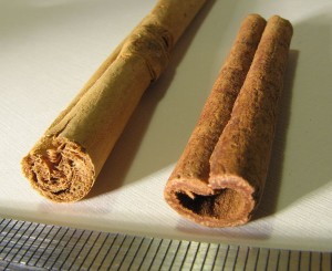 real cinnamon vs cassia